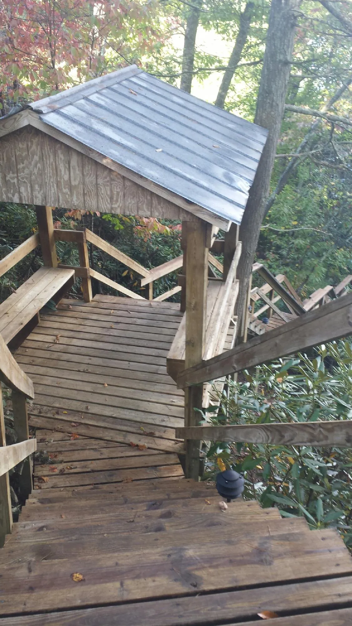 Metal roofed shelter over wooden steps on a wooded walkway — Skylight Repair & Installation work by our crew in Calabash